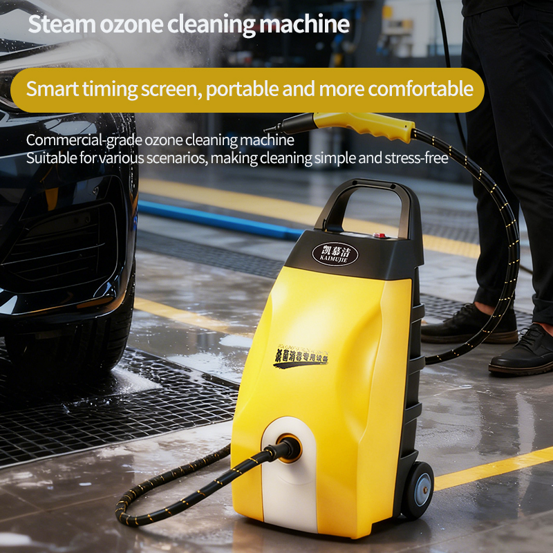 220V Multifunctional High Temperature Ozone Disinfection Steam Cleaner High Pressure Car Sauna Formaldehyde Removal Vehicle Disinfection