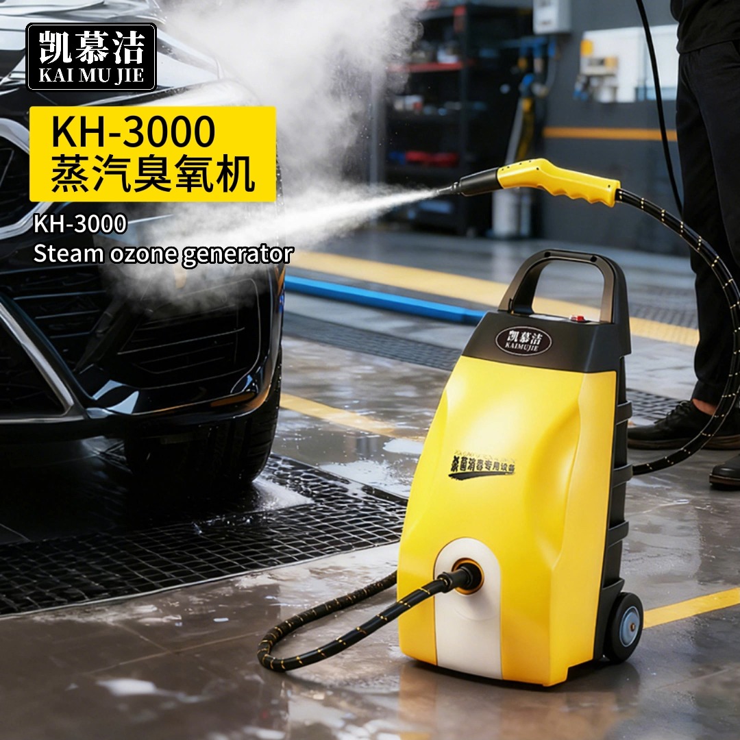 220V Multifunctional High Temperature Ozone Disinfection Steam Cleaner High Pressure Car Sauna Formaldehyde Removal Vehicle Disinfection
